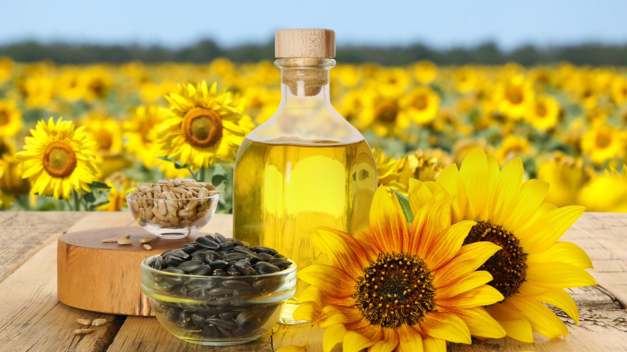 Sunflower oil and seeds on wooden table near blooming field