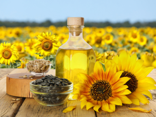 Sunflower oil and seeds on wooden table near blooming field